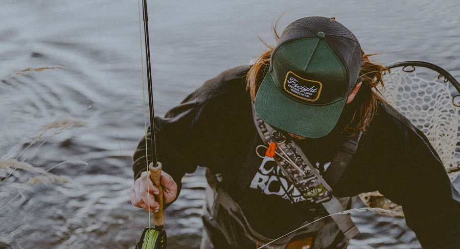 - FRESH PICKS -